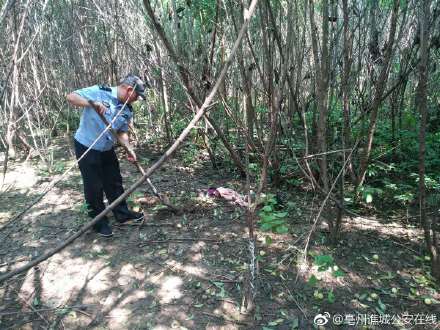 亳州一小树林惊现"女尸" 原是充气娃娃