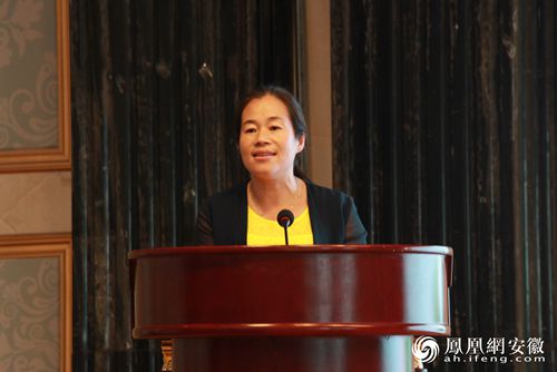 阜阳市阜南地城:美食荷花首届美食节即将开幕中国文化英语作文作文图片