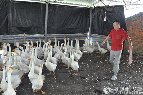 走出贫困 温暖坚定的榜样力量-六安市叶集区洪