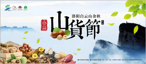 收入证明_白云山门票收入(2)