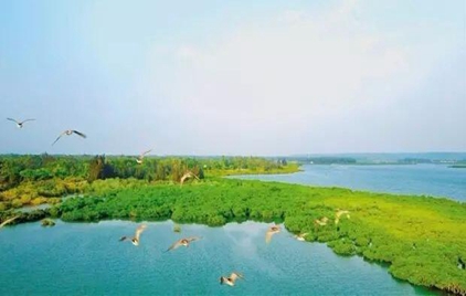 临高的GDP_海南临高女生打架扒衣(2)