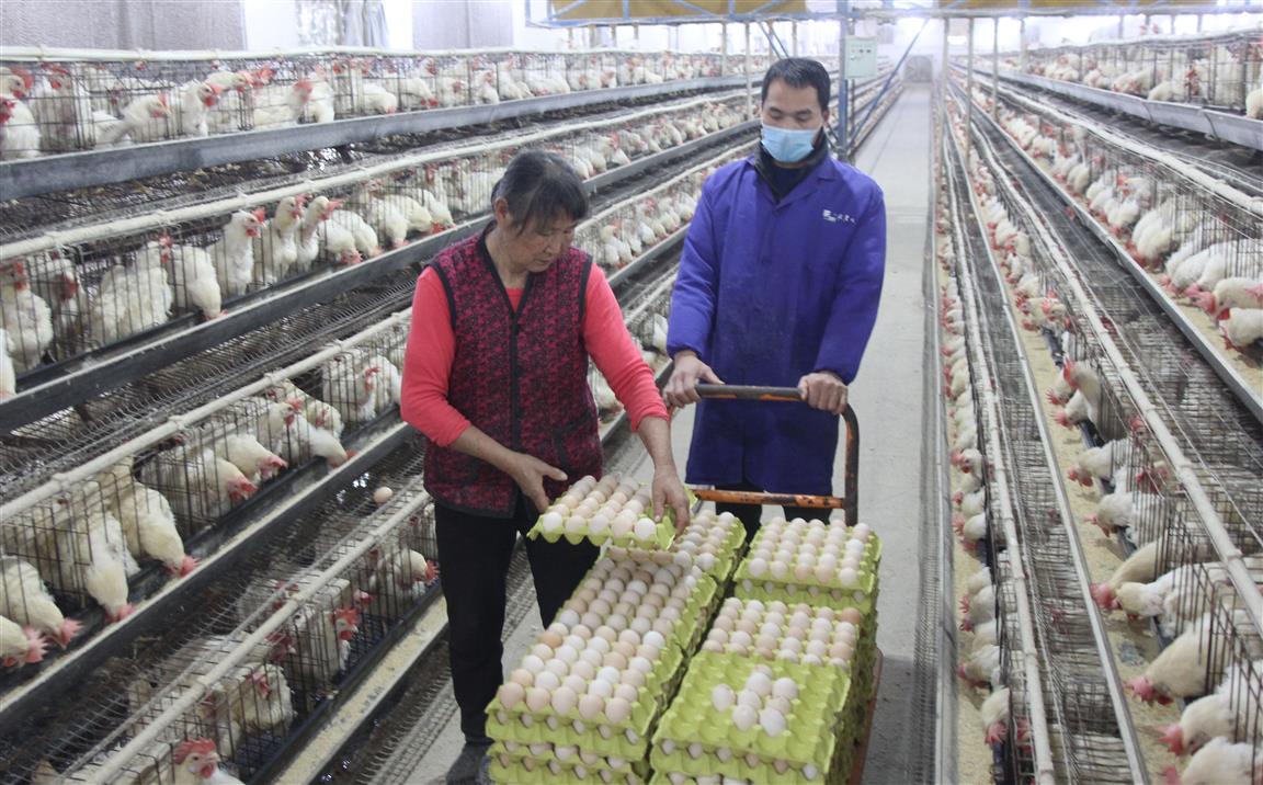 道县gdp_道县一中(3)