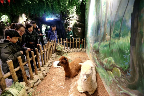 郑州室内创新互动型"海陆空三栖"潘多拉萌宠乐园开业