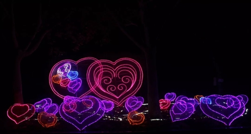 元宵佳节闹花灯 璀璨夜景绿博园