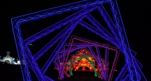 元宵佳节闹花灯 璀璨夜景绿博园