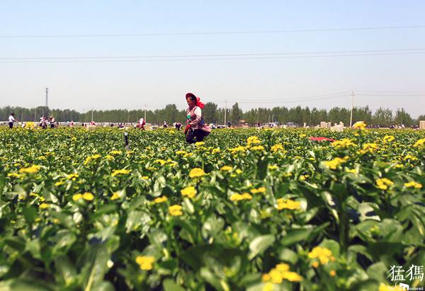 河南省栾川等33个县脱贫摘帽 现进行公示