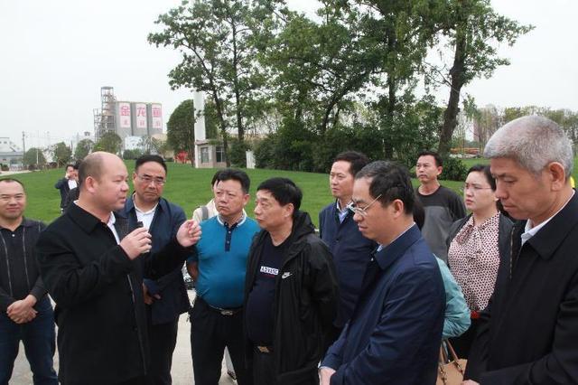 2019年岳阳城陵矶新港区GDP_岳阳城陵矶照片