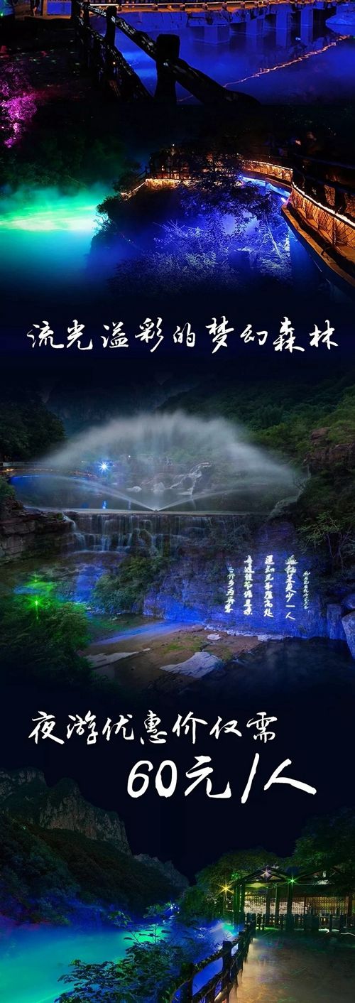 云台山“幻光森林” 给你一个18°C的夏夜之旅