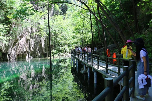 走进龙峪湾森林避暑度假区 感受那21°的夏天