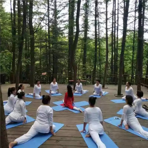 龙峪湾森林帐篷星光音乐会暨“万人水果营养大餐”7月20来袭