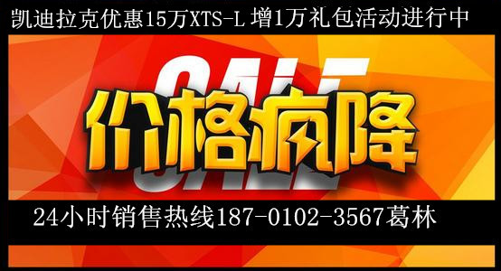 收入证明_买车价格与收入(2)