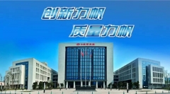 实力打榜——力帆再入中国民营500强