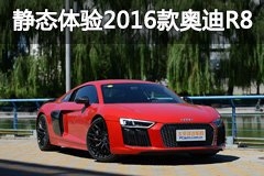 静态体验奥迪R8 V10 Performance 源于赛道