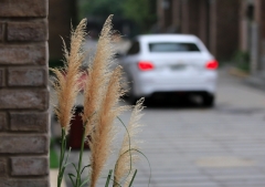 雪佛兰这辆车很平淡 但却很有销量冠军相