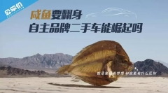 咸鱼要翻身，自主品牌二手车能崛起吗？