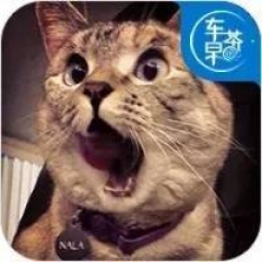 这些被放弃的汽车发明，99.9999%人都不知道