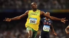 自主品牌SUV神车辈出，谁才是月销破万的速度王