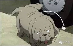 小狗为什么喜欢在轮胎上撒尿