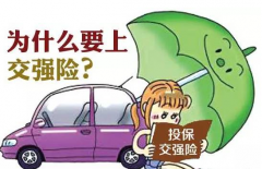 为什么要上交强险 不知道这些你算白买了