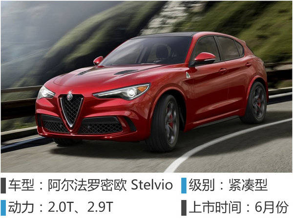 阿尔法罗密欧 stelvio