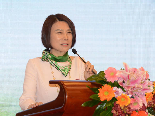 董明珠携万达、京东等优秀资本入股银隆