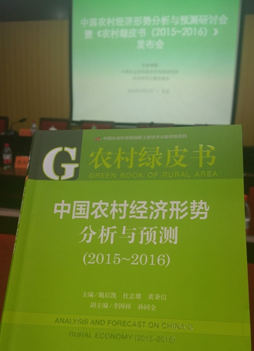 华西村人均收入_上海农民人均收入(2)