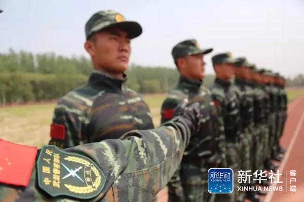 武警特战分队臂章。