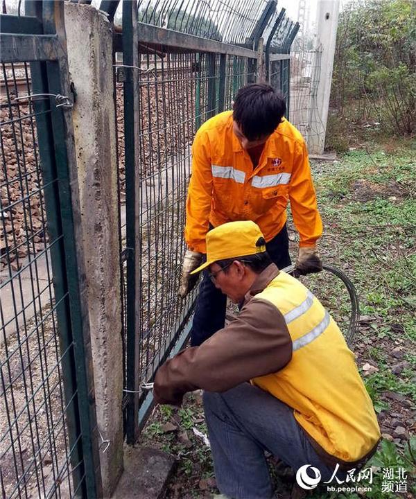 武汉铁路局麻城工务段光山线路工区职工黄吉斌正在对京九线封闭护网进行整修，确保路外安全。曾志荣摄