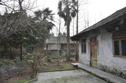 杨家院子（局部）