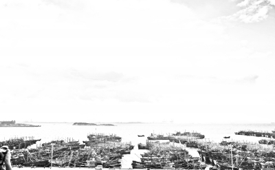 ▲泉州祥芝港 陈秀春 摄