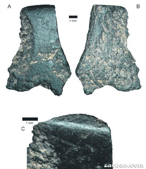 澳大利亚发现世界上最古老斧头碎片:距今5万年