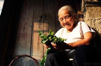 壹粉原创 | 离不开彦语的奶奶