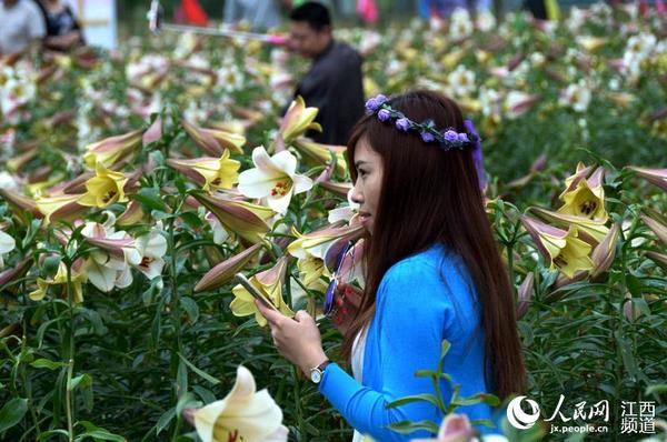 万载县白水乡龙牙百合基地里百合花盛开,吸引游客蜂拥而至。