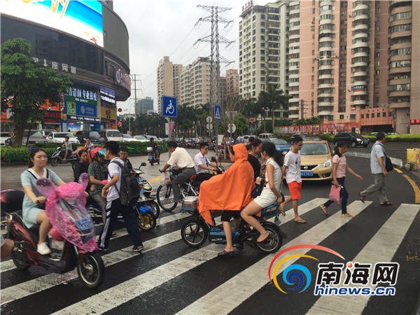 海口司机斑马线不礼让行人将罚款扣分 专家建