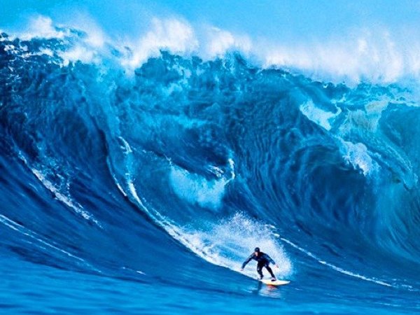 (图片来源：Business Inside)