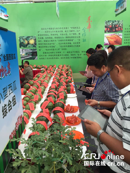 第28届大兴西瓜节现场。