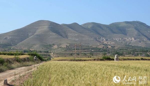 位于陕西省蒲城县北13公里辛子坡村北的尧山之上，海拔1091米。光陵依山为陵。