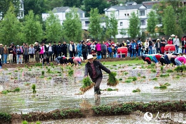 比赛现场。（邓龙启 摄）
