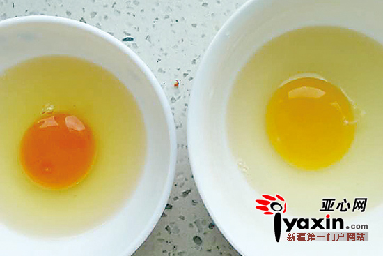 土鸡蛋（左）和普通鸡蛋对比。张女士供图