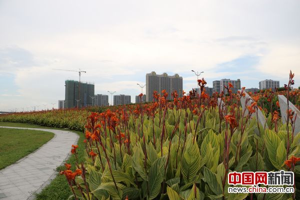 图09：绿岛湖湿地公园。中国网李云鹏摄