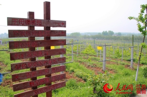 六合区横梁街道绿航生态园 耿志超/摄