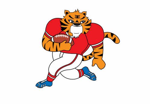 2016美式橄榄球青年组世锦赛吉祥物“斌斌”。