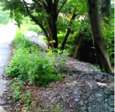 （图片由村民提供）