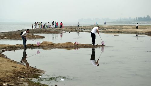 雨季未到干旱持续,游客在萌山水库库底遛狗捞