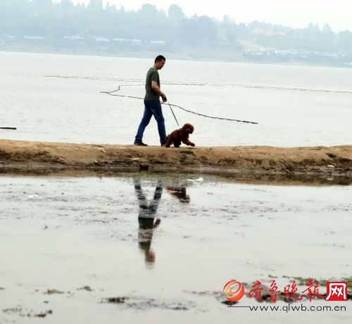 雨季未到干旱持续,游客在萌山水库库底遛狗捞