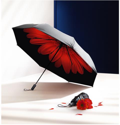 王子文的夏日防晒首选 蕉下小黑伞_凤凰资讯