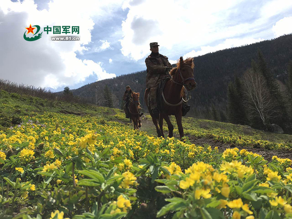 巡逻官兵走过那仁花海