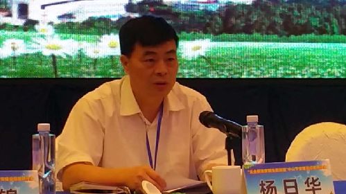 图为广东省委政法委专职副书记,省综治办主任杨日华在研讨会上讲话.