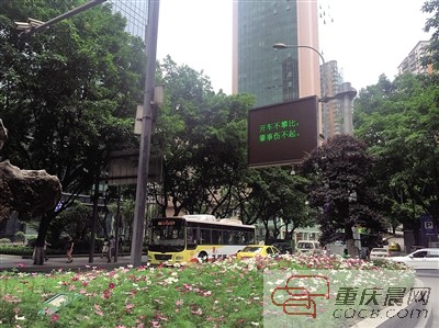 交通警语萌亮街头 你还好意思违章吗