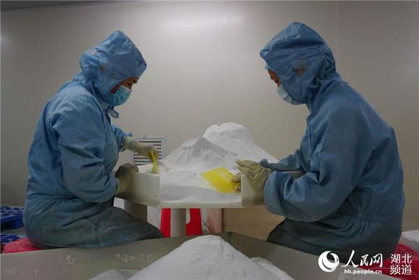 甲壳素生产车间（周雯 摄）